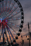 Capital Wheel 077