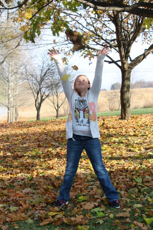 Fall leaves
