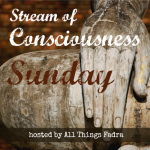 SOCSunday-2015