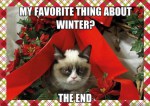Funny-Quotes-about-Winter-11-500x353